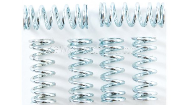 Kupplungsfedern Federn Kupplung verstärkt Suzuki RM125 Typ RF13A Bj. 1986-1988