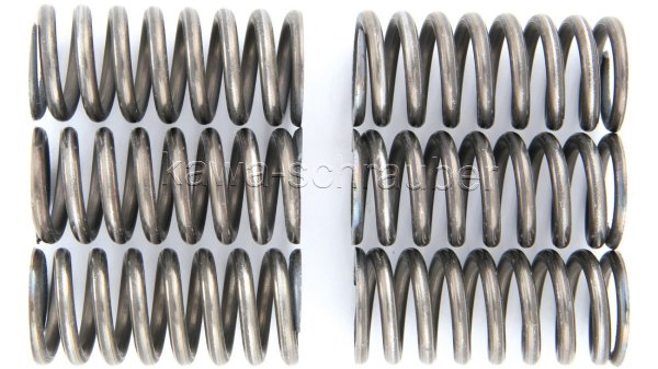 Kupplungsfedern Federn Kupplung verstärkt Suzuki RM250 Typ RJ18C Bj. 2003-2012