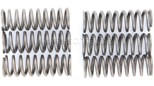 Kupplungsfedern Federn Kupplung verstärkt Suzuki SV650 Typ AV111 Bj. 1999-2002