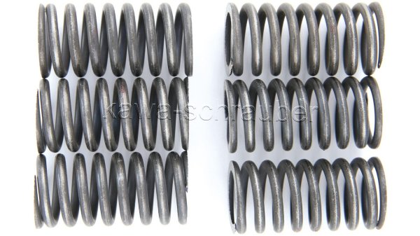 Kupplungsfedern Federn Kupplung verstärkt Suzuki SV650 Typ WVBY Bj. 2003-2009