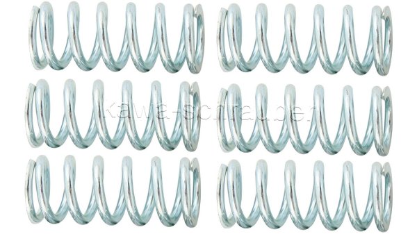 Kupplungsfedern Federn Kupplung verstärkt Triumph 600 Speed Four ab FG 210262