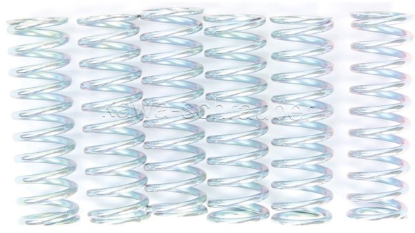 Kupplungsfedern Federn Kupplung verstärkt Yamaha TRX850 Typ 4UN