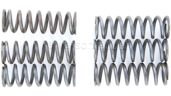 Kupplungsfedern Federn Kupplung verstärkt Yamaha FZS1000 Fazer Typen RN06 RN14