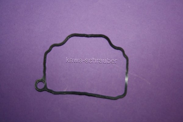 FBG-229 Dichtung Schwimmerkammer Schwimmerkammerdichtung