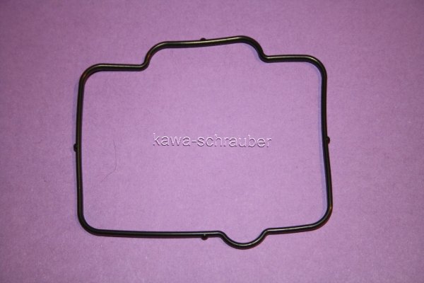 FBG-235 Dichtung Schwimmerkammer Schwimmerkammerdichtung