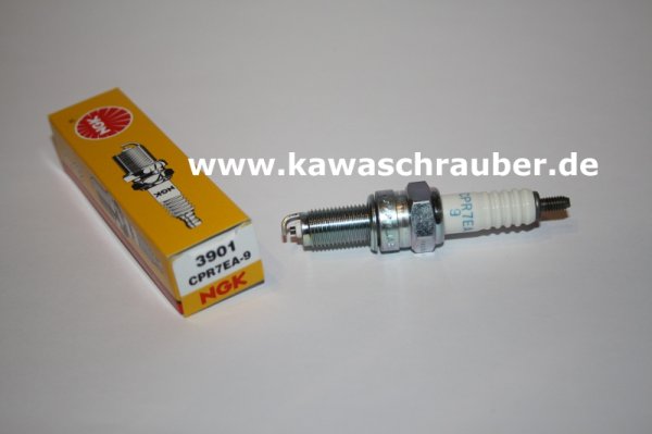 NGK Zündkerze Kawasaki VN900