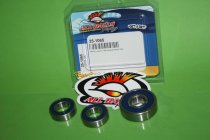 All Balls Radlager Satz Radlagersatz hinten Kawasaki Bj. 1978-1981KX250