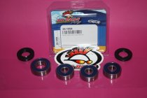 All Balls Radlager Satz Radlagersatz hinten Yamaha DT80 Typ 5J1 RS100 Typ 4J8 Baujahre beachten