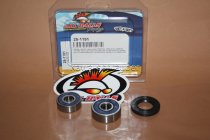 All Balls Radlager Satz Radlagersatz hinten Honda XR70 XR80 XR100 Baujahre beachten