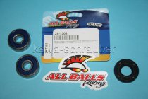 All Balls Radlager Satz Radlagersatz vorne Suzuki RM125 Bj. 1975-1976