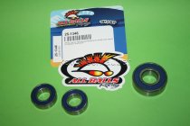 All Balls Radlager Satz Radlagersatz hinten Kawasaki KDX250 2T Bj. 1980-1982