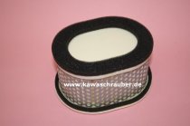 Luftfilter Yamaha FZS600S FZS600P FZS 600 S / P Baujahre 2000 und 2001