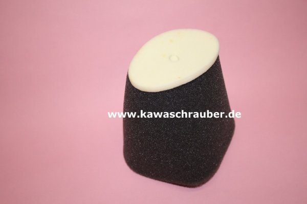 Luftfilter Yamaha YFM660 YFM 660 Raptor