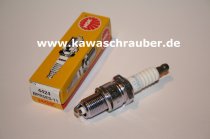 NGK Zündkerze American Performance Cycle High Roller S