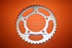 Kettenblatt / Ritzel hinten 42 Zähne Aprilia SL 1000 Falco (geänderte Übersetzung) Kettenblatt / Ritzel hinten 42 Zähne Aprilia SL 1000 Falco (geänderte Übersetzung)