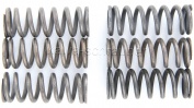 6 Kupplungsfedern Federn Kupplung verstärkt MEF155-6 6 Kupplungsfedern Federn Kupplung verstärkt MEF155-6