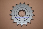 Ritzel vorne 17 Zähne Kawasaki ZRX1200 (Standard Übersetzung) Ritzel vorne 17 Zähne Kawasaki ZRX1200 (Standard Übersetzung)