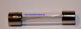 Glassicherung Sicherung 6x32 10A 10 Ampere